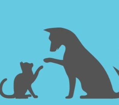 ペットショップcoco　新福店 のサムネイル