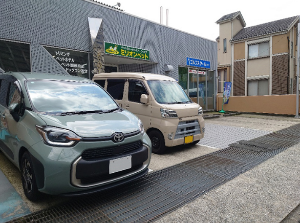 ミリオンペット