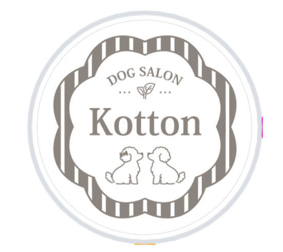 DogSalon Kotton 2