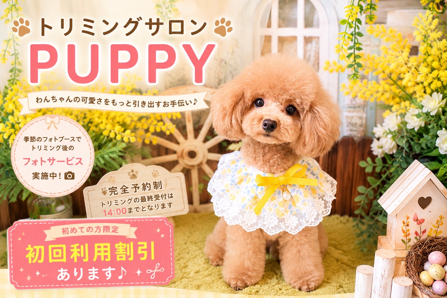 PUPPY つくば 2