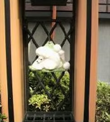 poo-grace櫻井 3