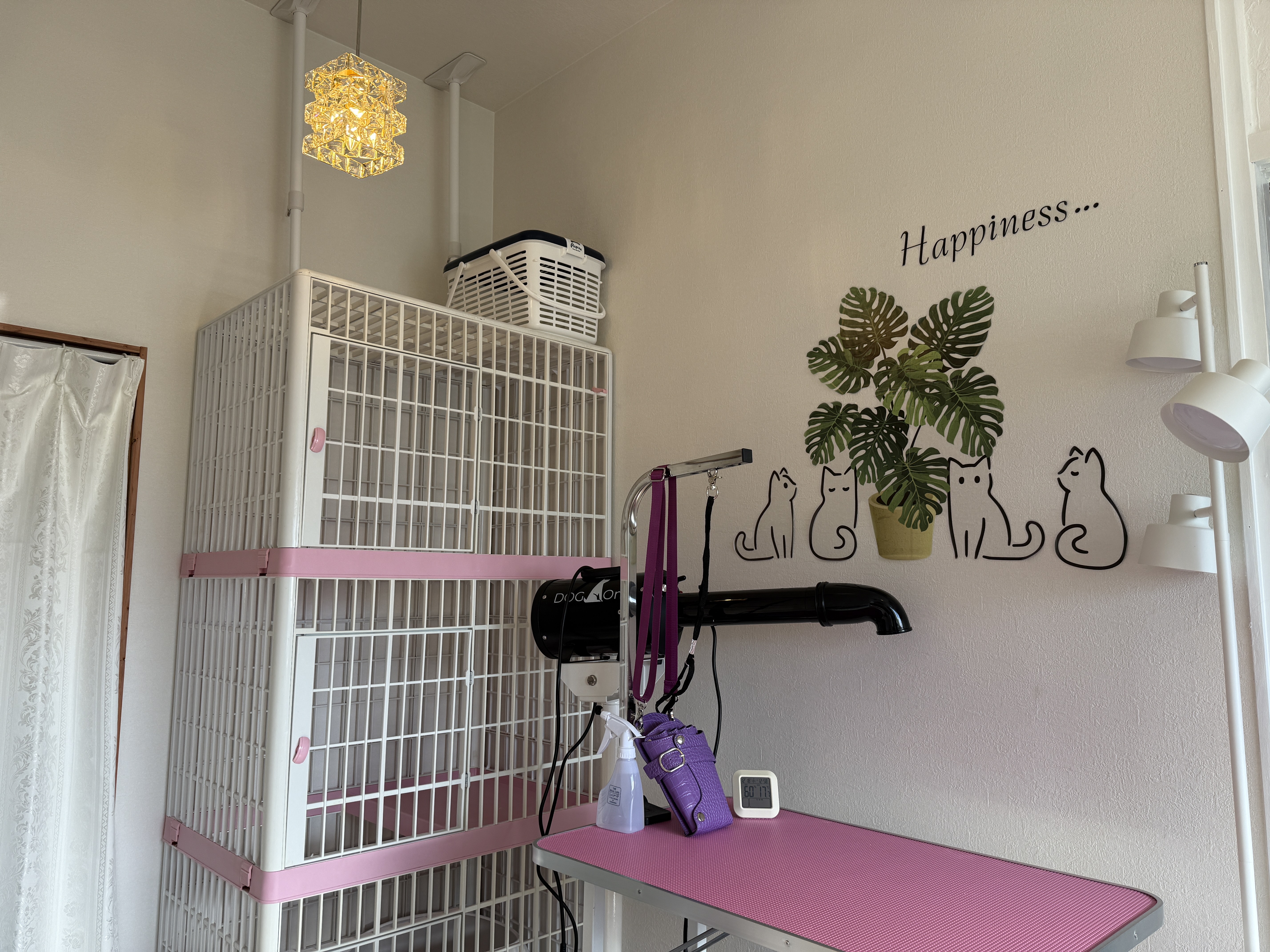 ペットサロン　PUA 2