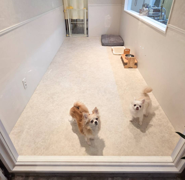 トータルペットサービス None 清水谷店 2