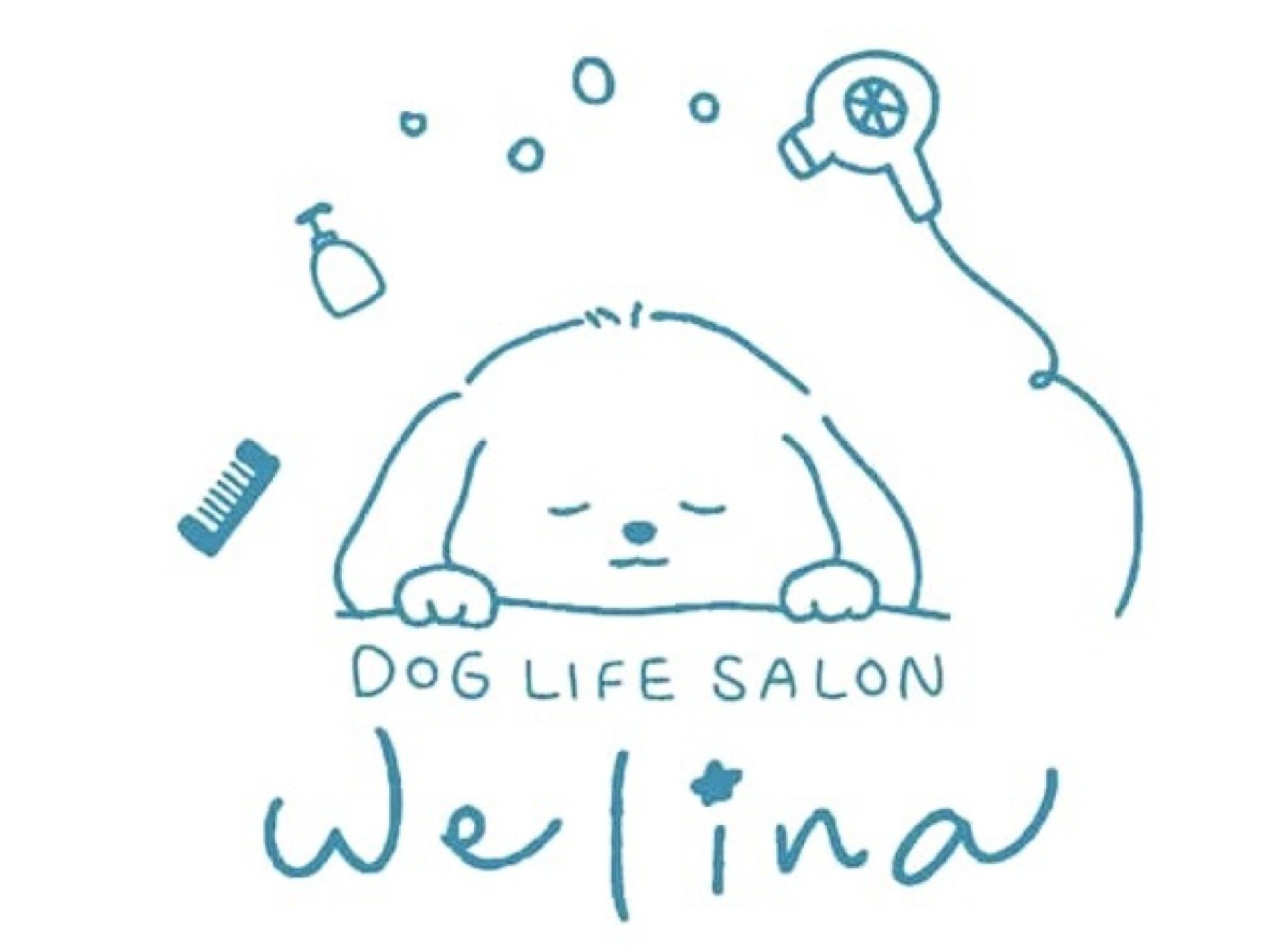 DOG LIFE SALON Welina 2