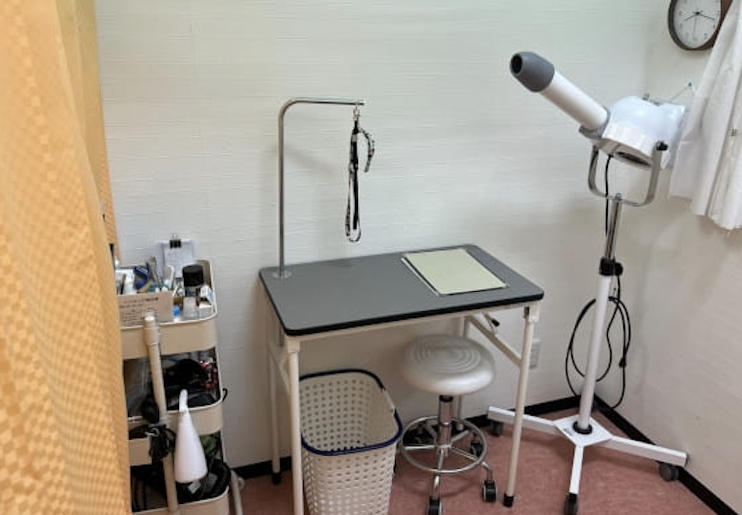 Pet Shop パレハ行橋店 2