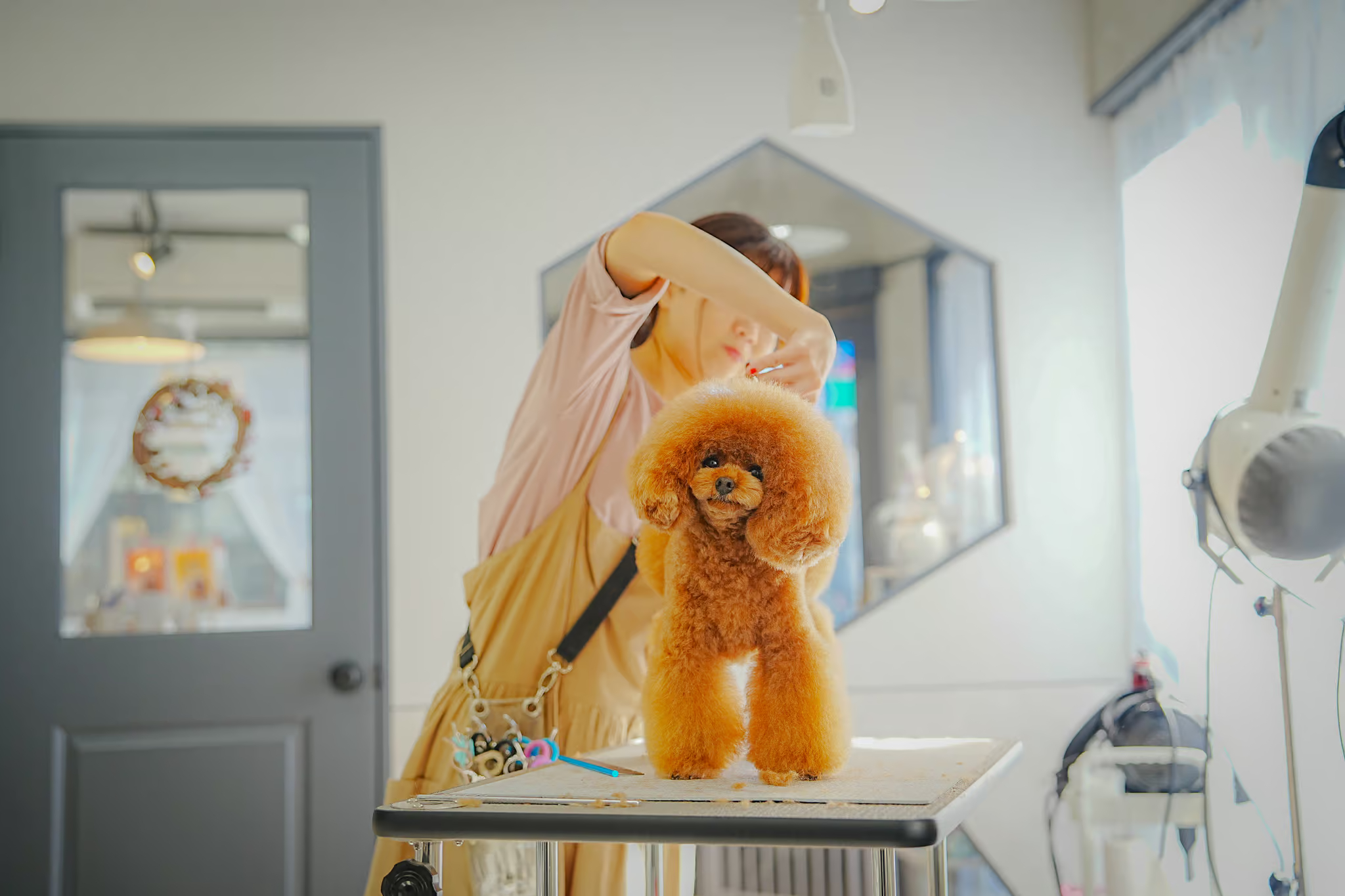 TrimmingSalon Joie 3