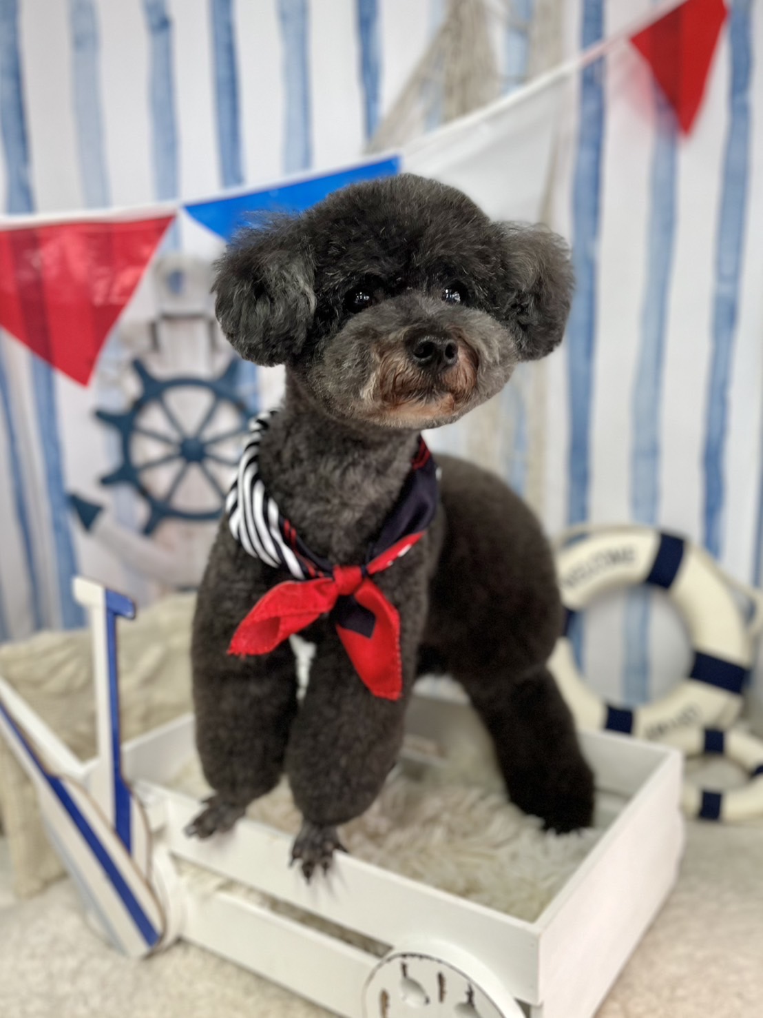 Salon de bijou サロンドビジュー 3