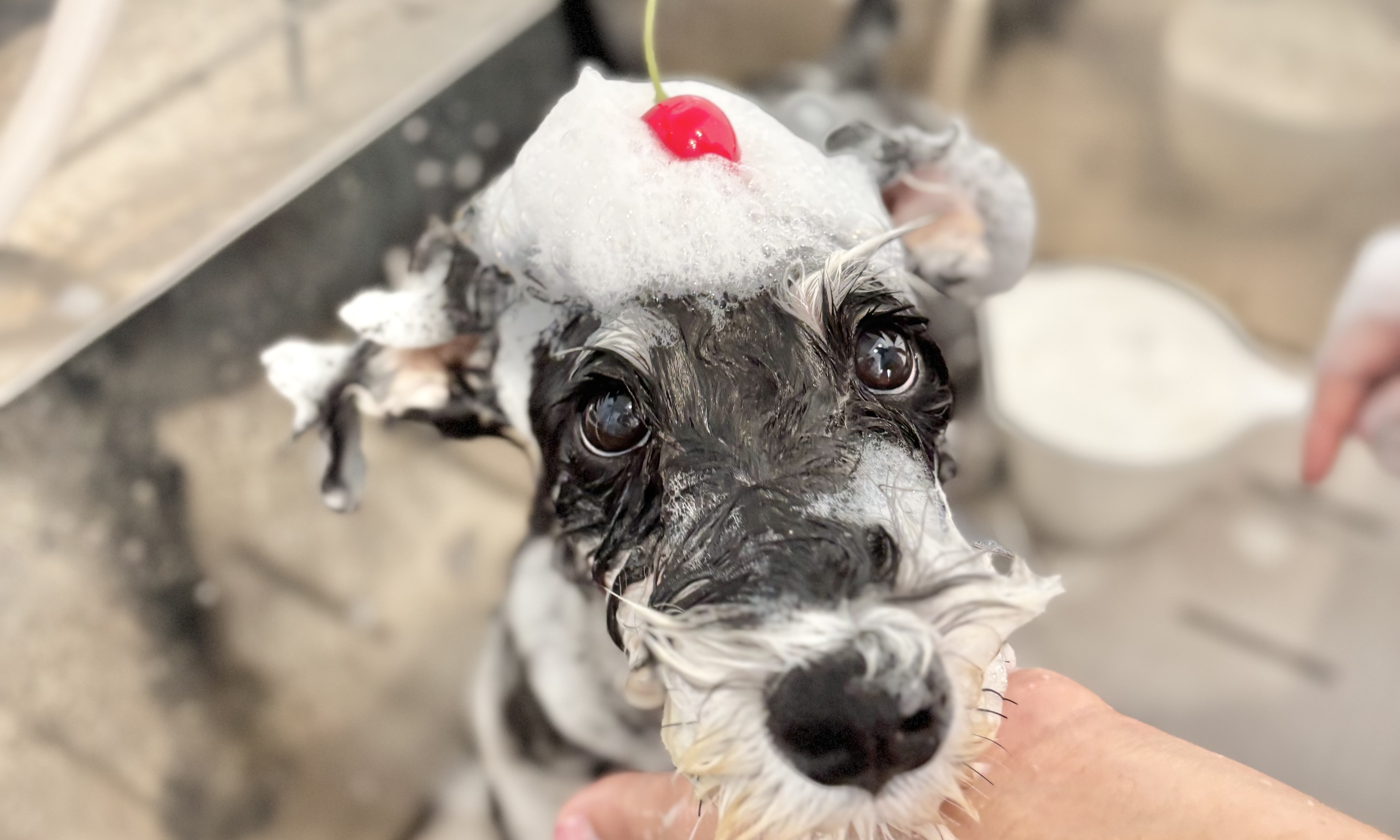 trimmingsalon cherisia 4