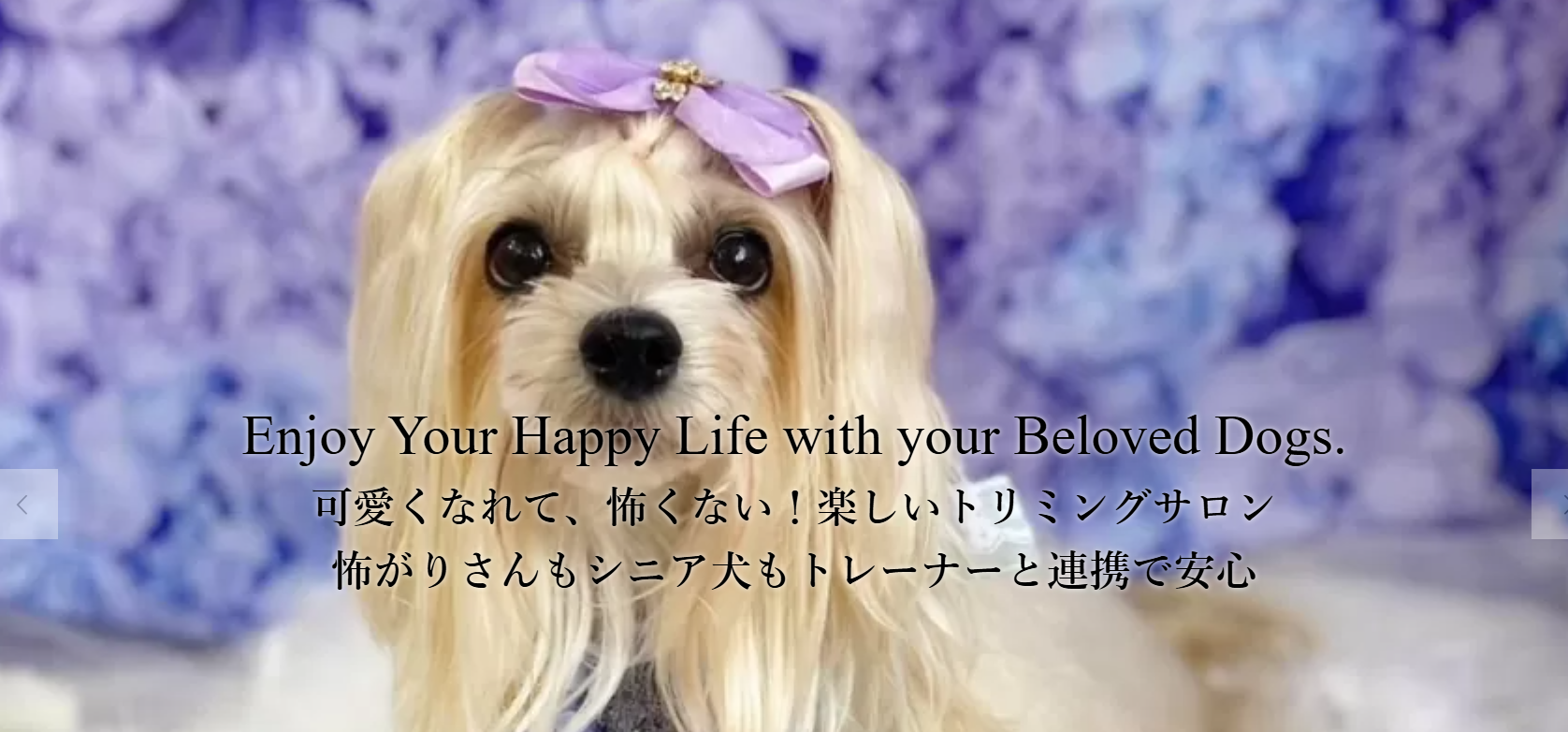 犬の総合施設 BLISS total dog salon 玉造駅前店 3