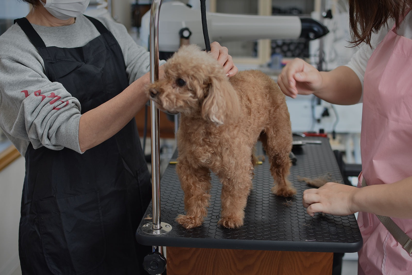 ムーブペッツ勝川店 6