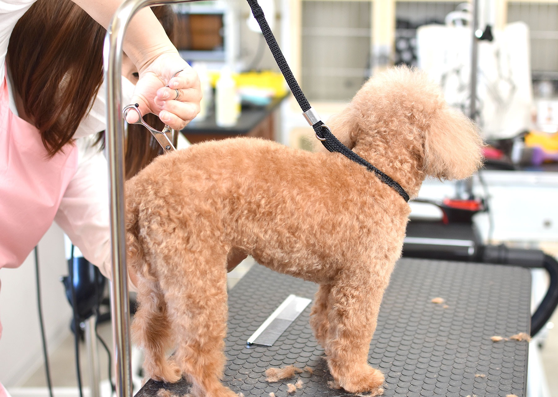 ムーブペッツ勝川店 5