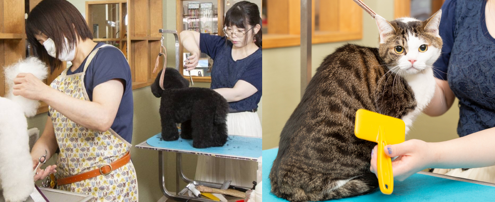 soup*spoon & dog*family幼稚園 3