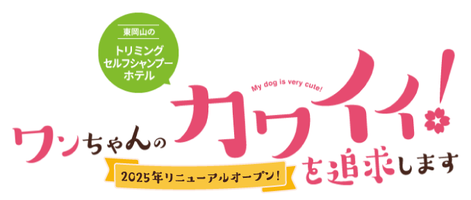 トリミングサロンSAKURA 5