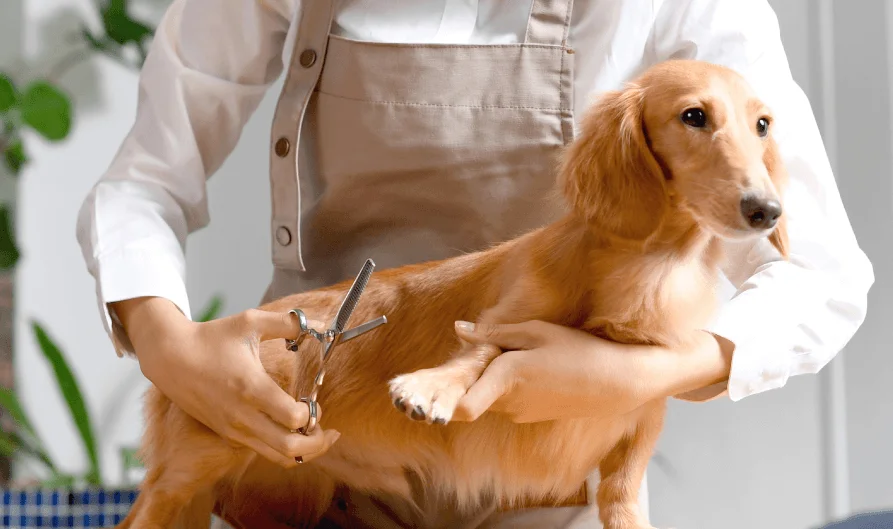 ミリオンペット逢谷内店 3