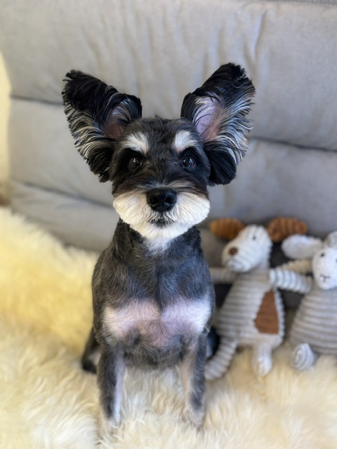 Dog Salon &me 4