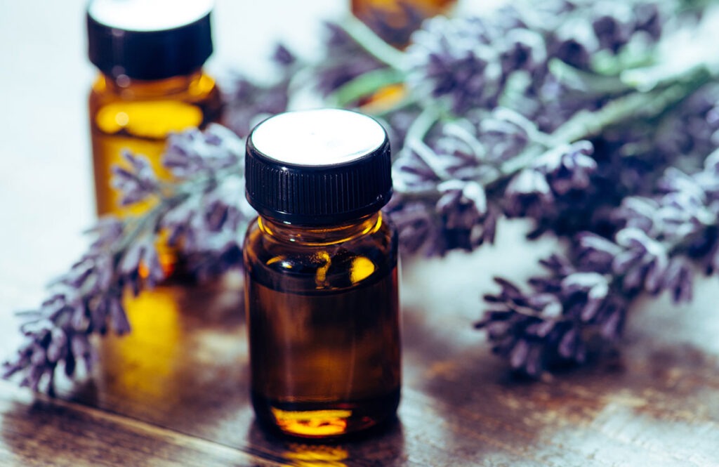 ドッグサロンBullsHome 4