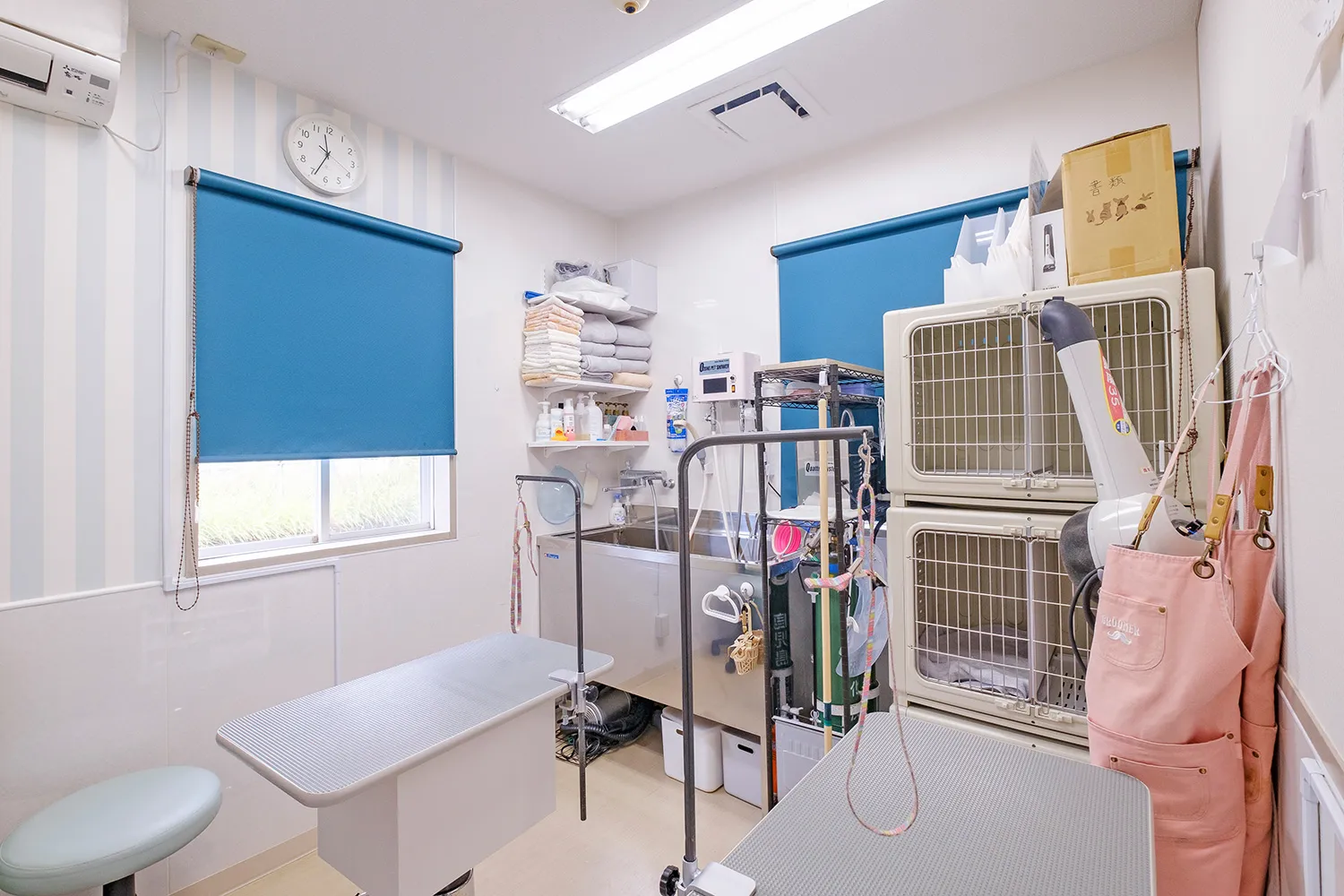 たけした動物医院 3