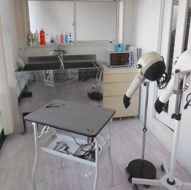 動物病院おがた 3