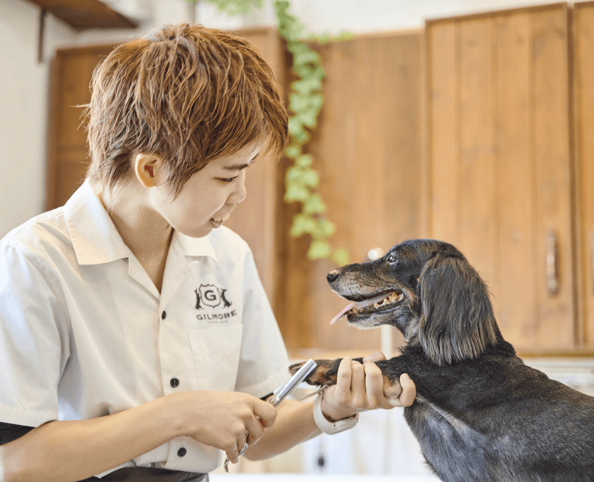 トリミングハウス　ギルモア　大分下郡店 2