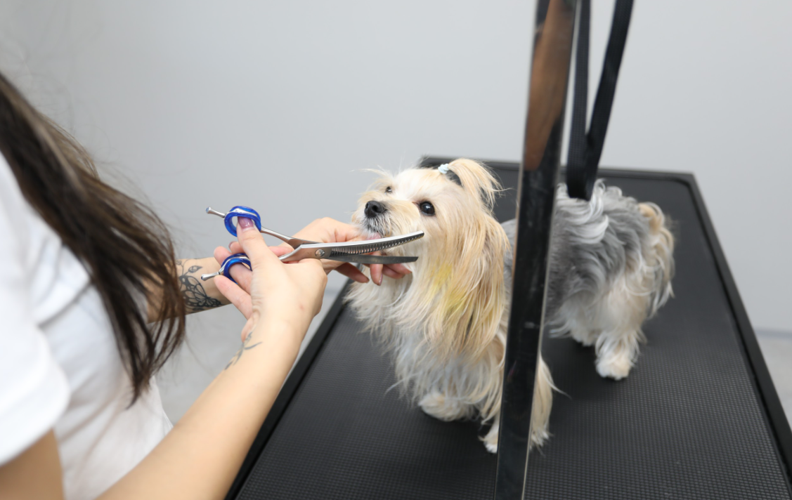 trimming salon Zoe 3