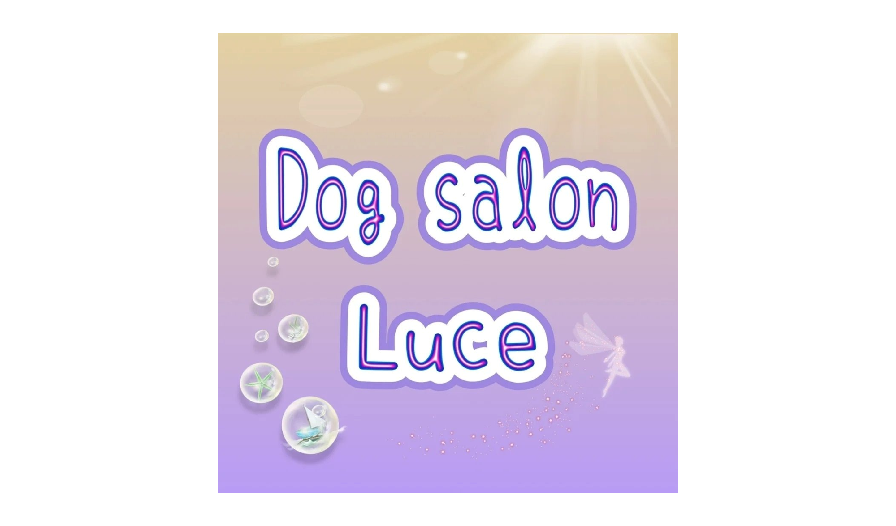 Dogsalon Luce 2