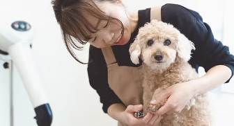 WETNOSE 3