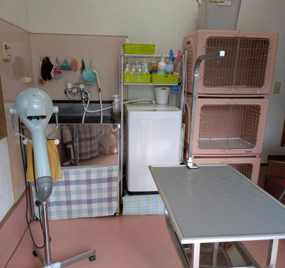 トリミングハウスひまわり 3