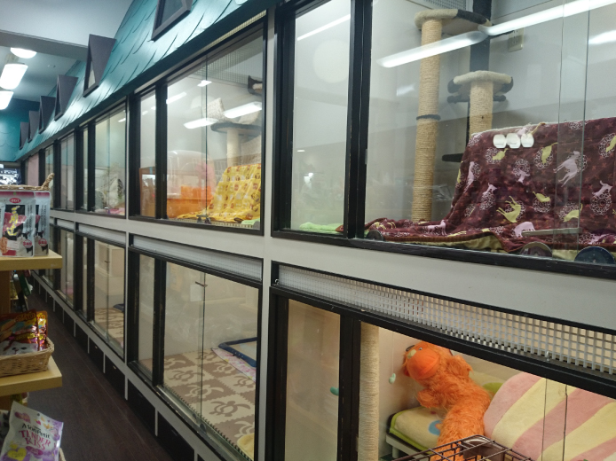 ZOO渋谷サロン 2