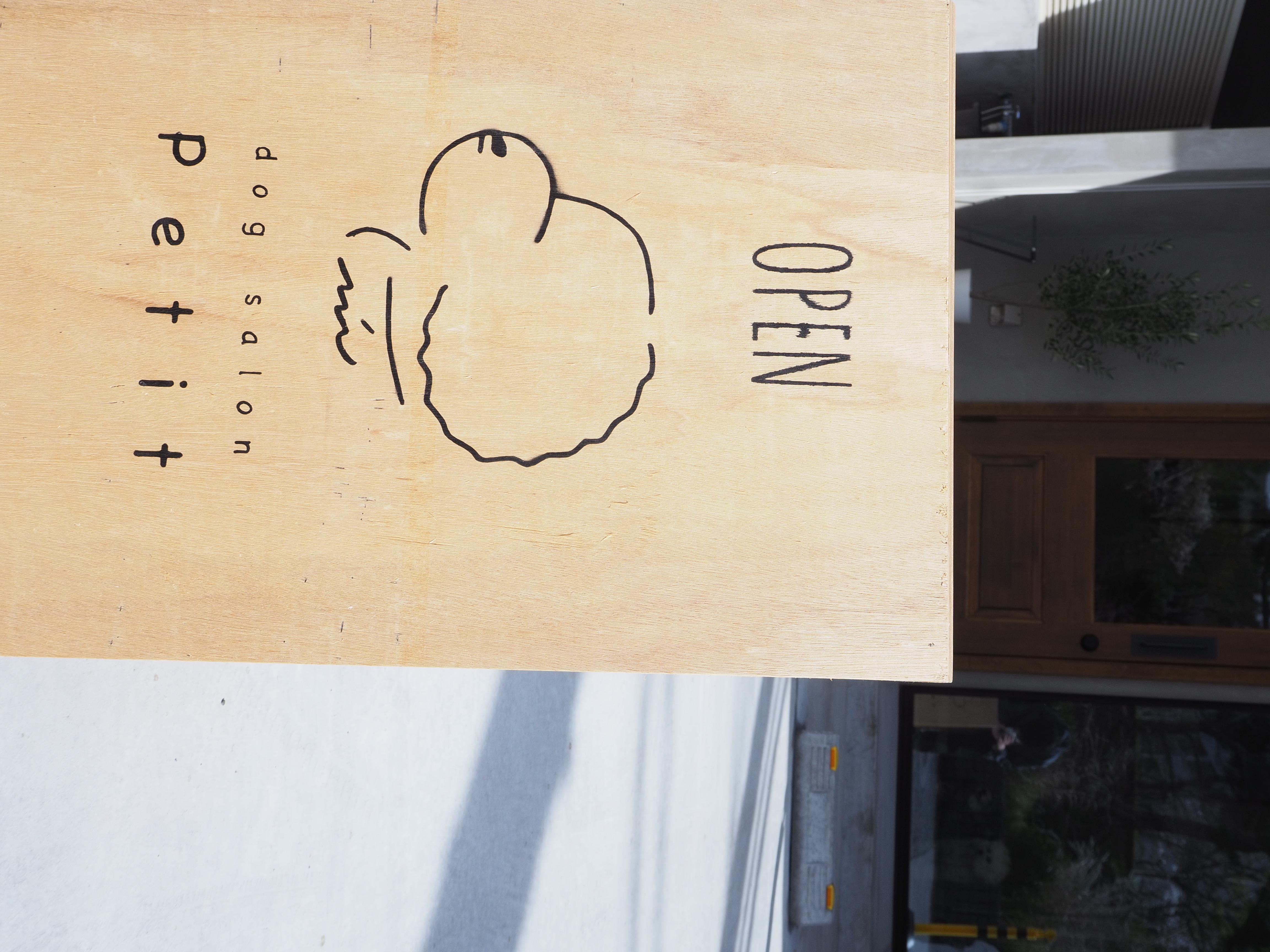 dogsalon petit 4