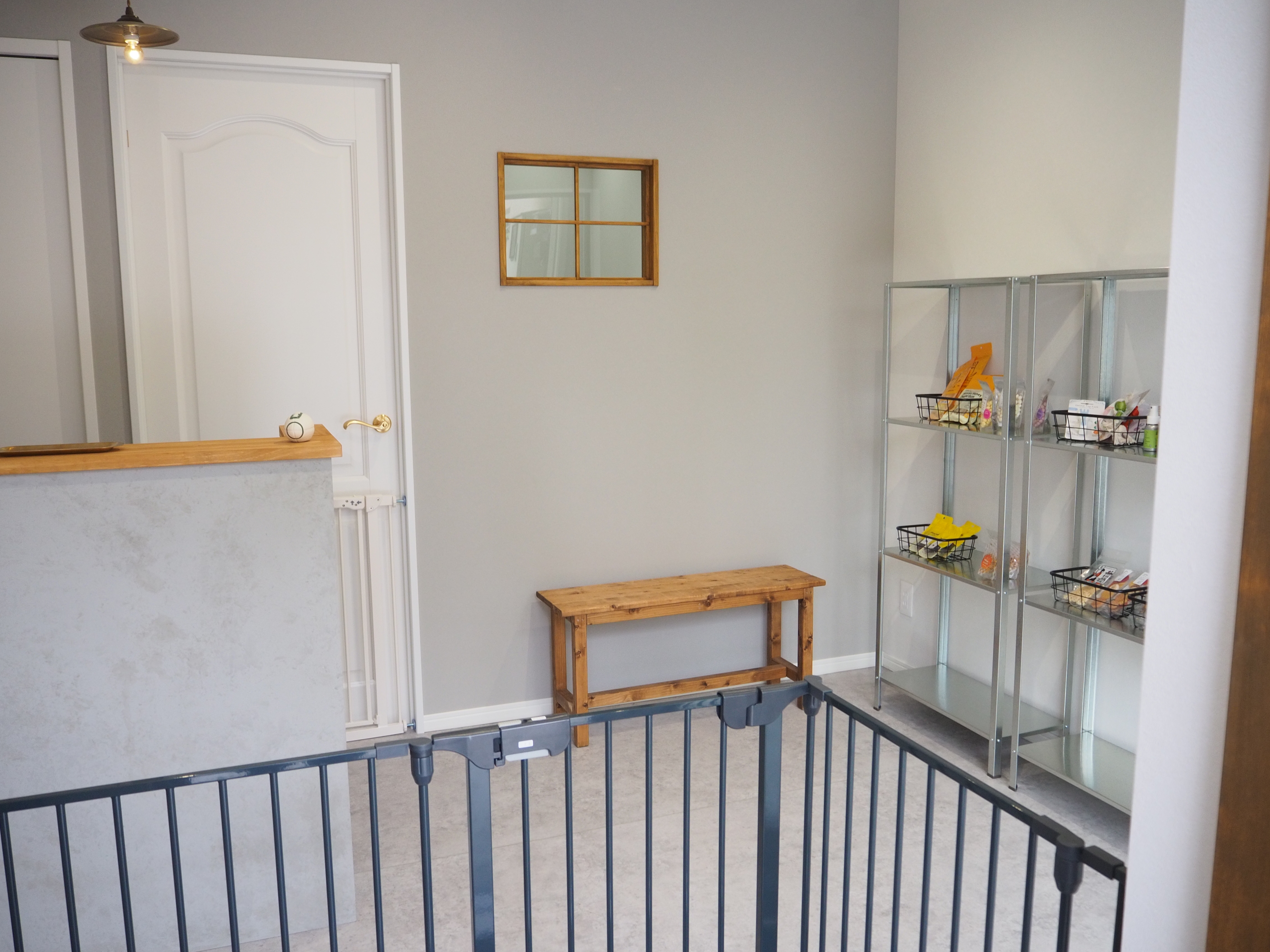 dogsalon petit 2