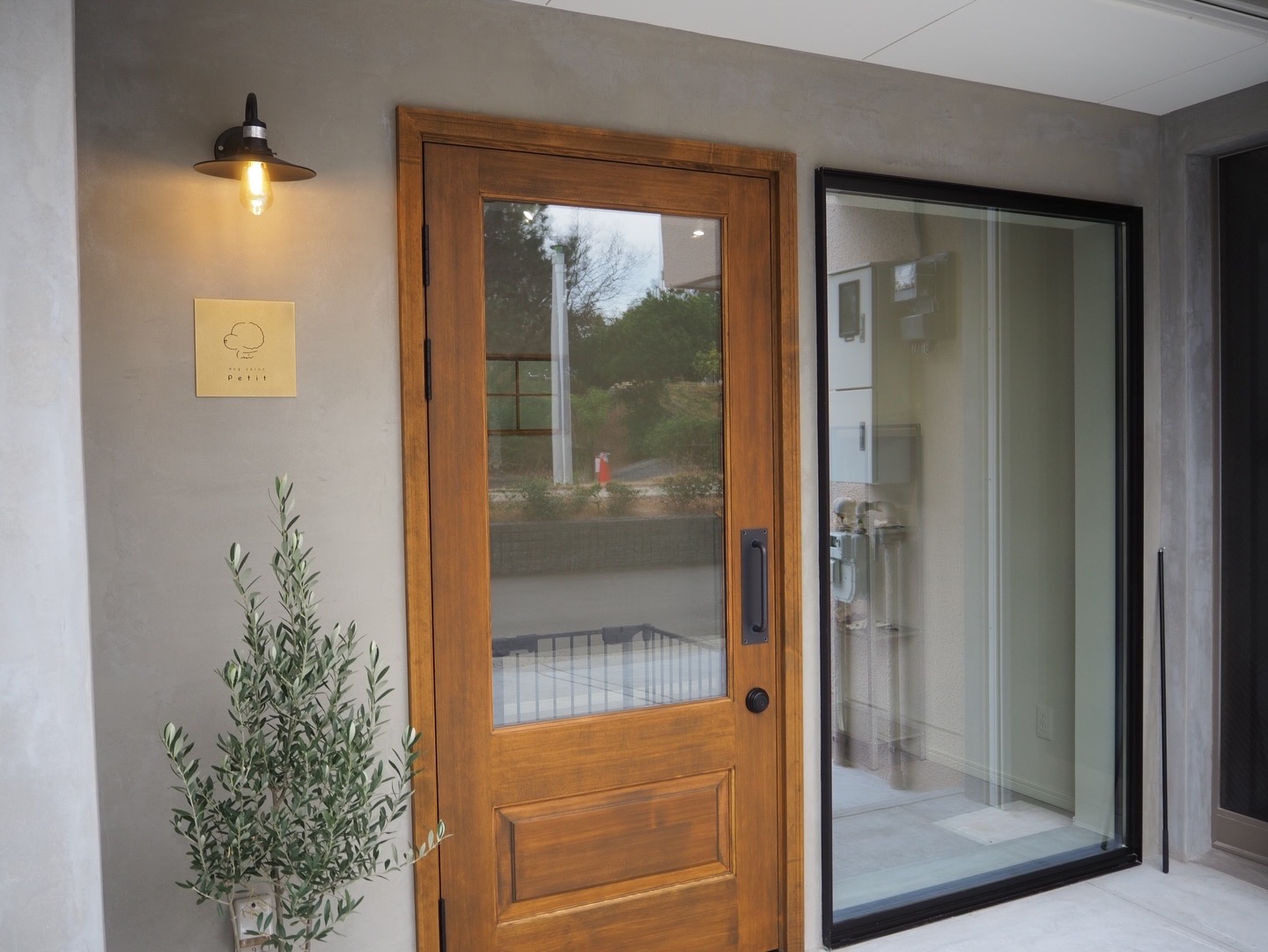 dogsalon petit 3