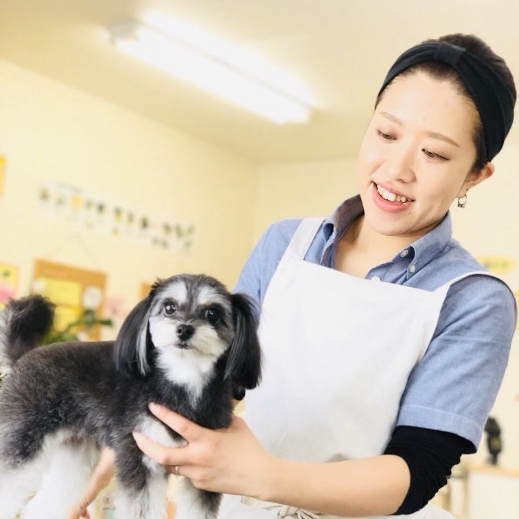 DogsalonAYA 2