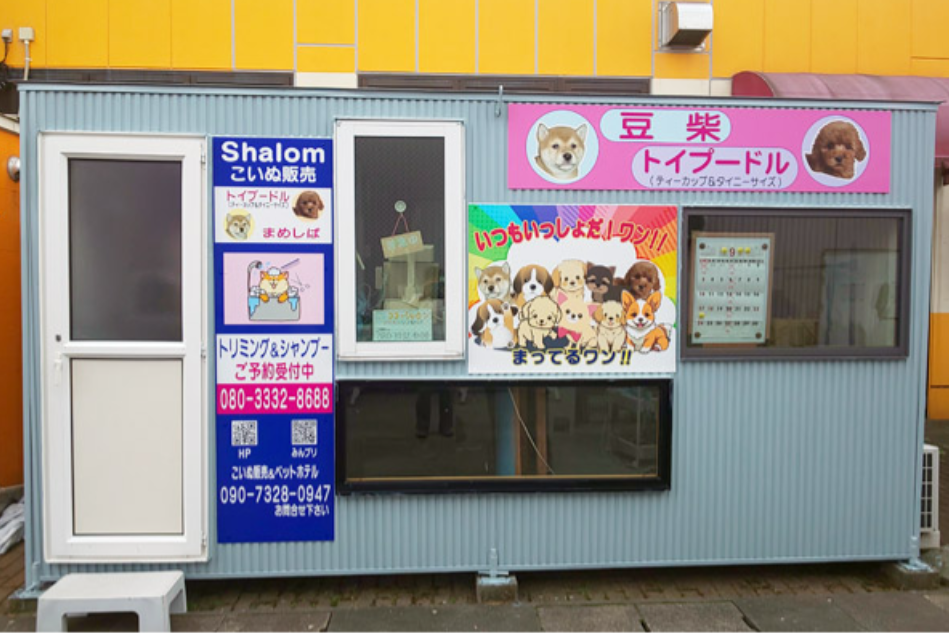 ココ・シャロン 2