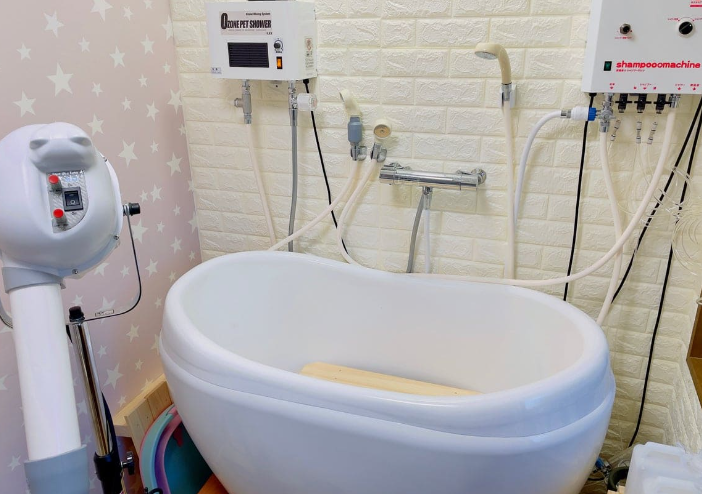 ねこべや港区本店 3