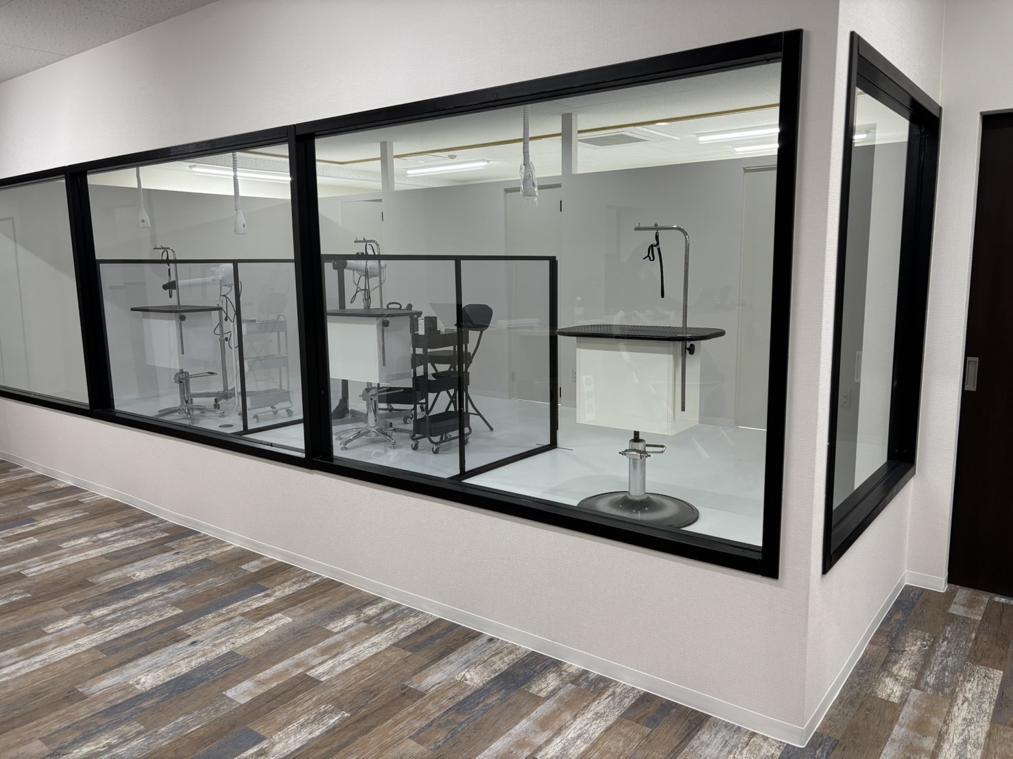 PETDESIGN名古屋みなと店 5