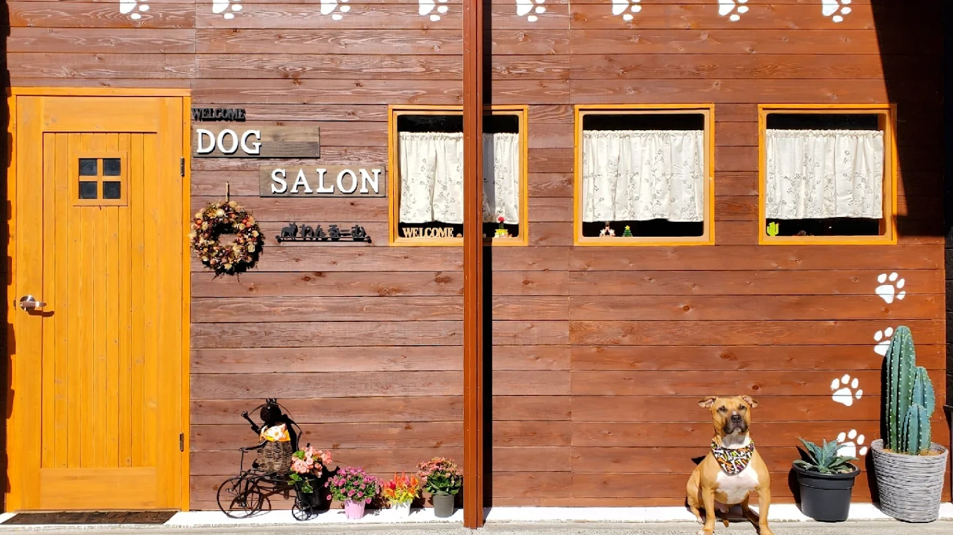 DOG SALON わんる～む 1