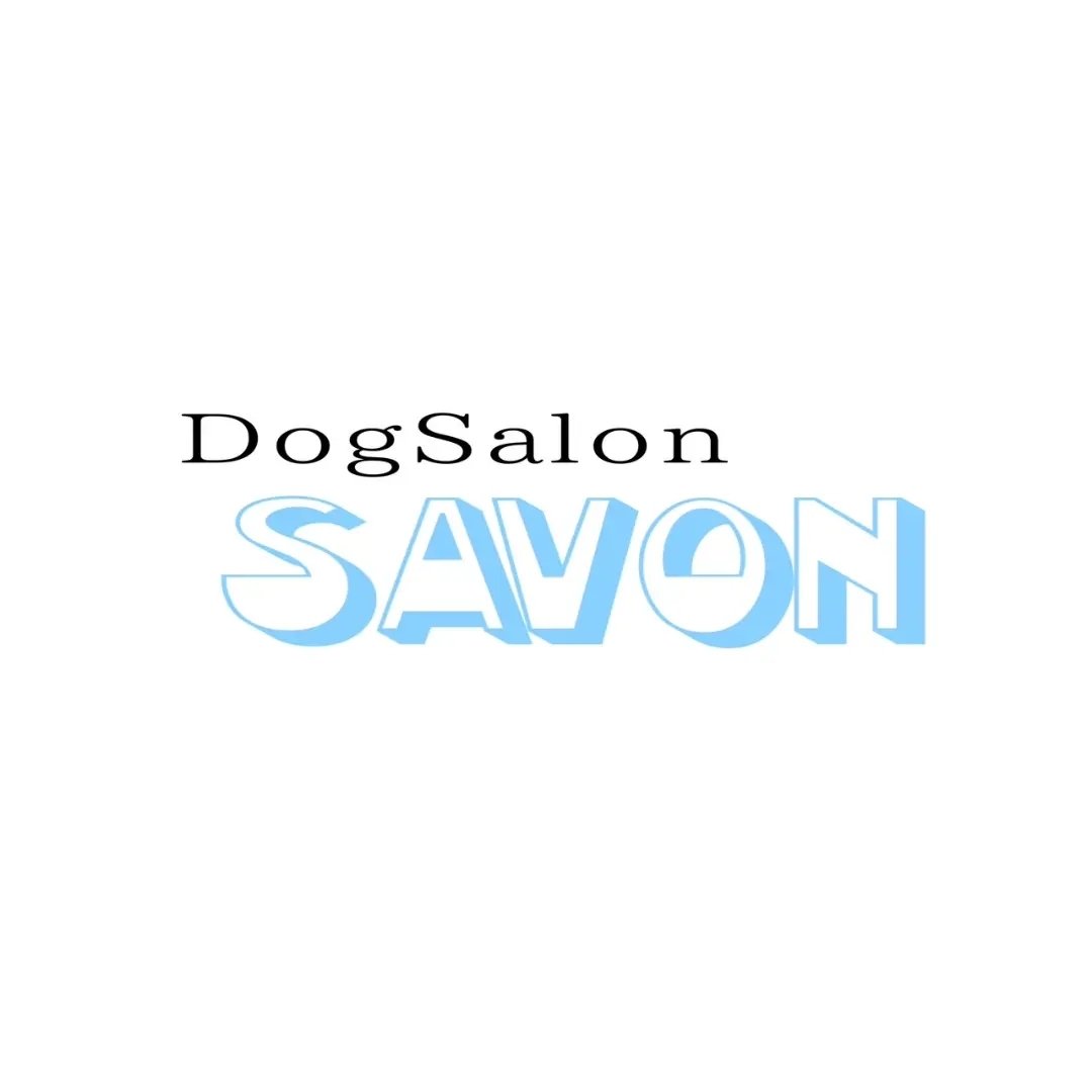 DOGSALON SAVON 1