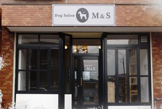 DogSalon M&S 1