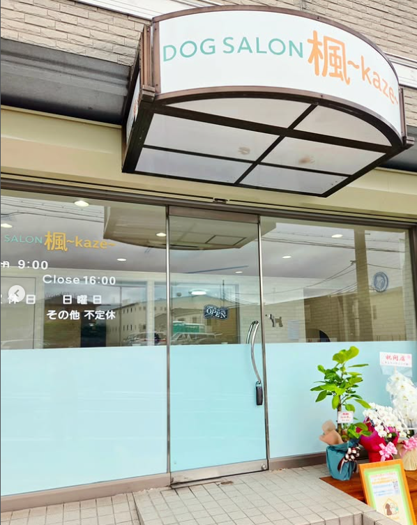 DOGSALON楓~KAZE~ 1