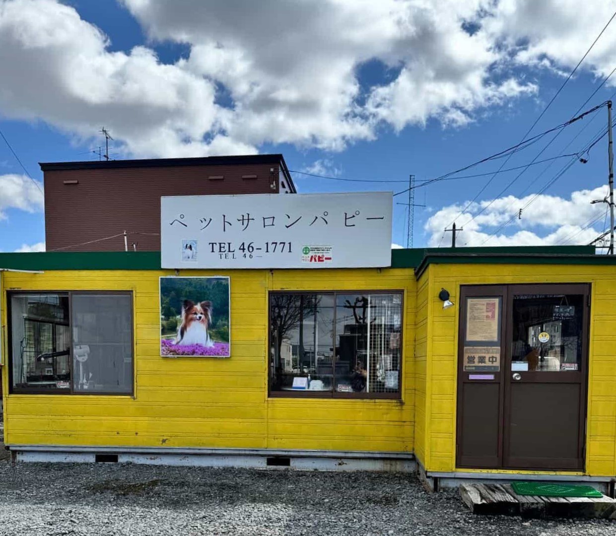 ペットサロン　パピー 1