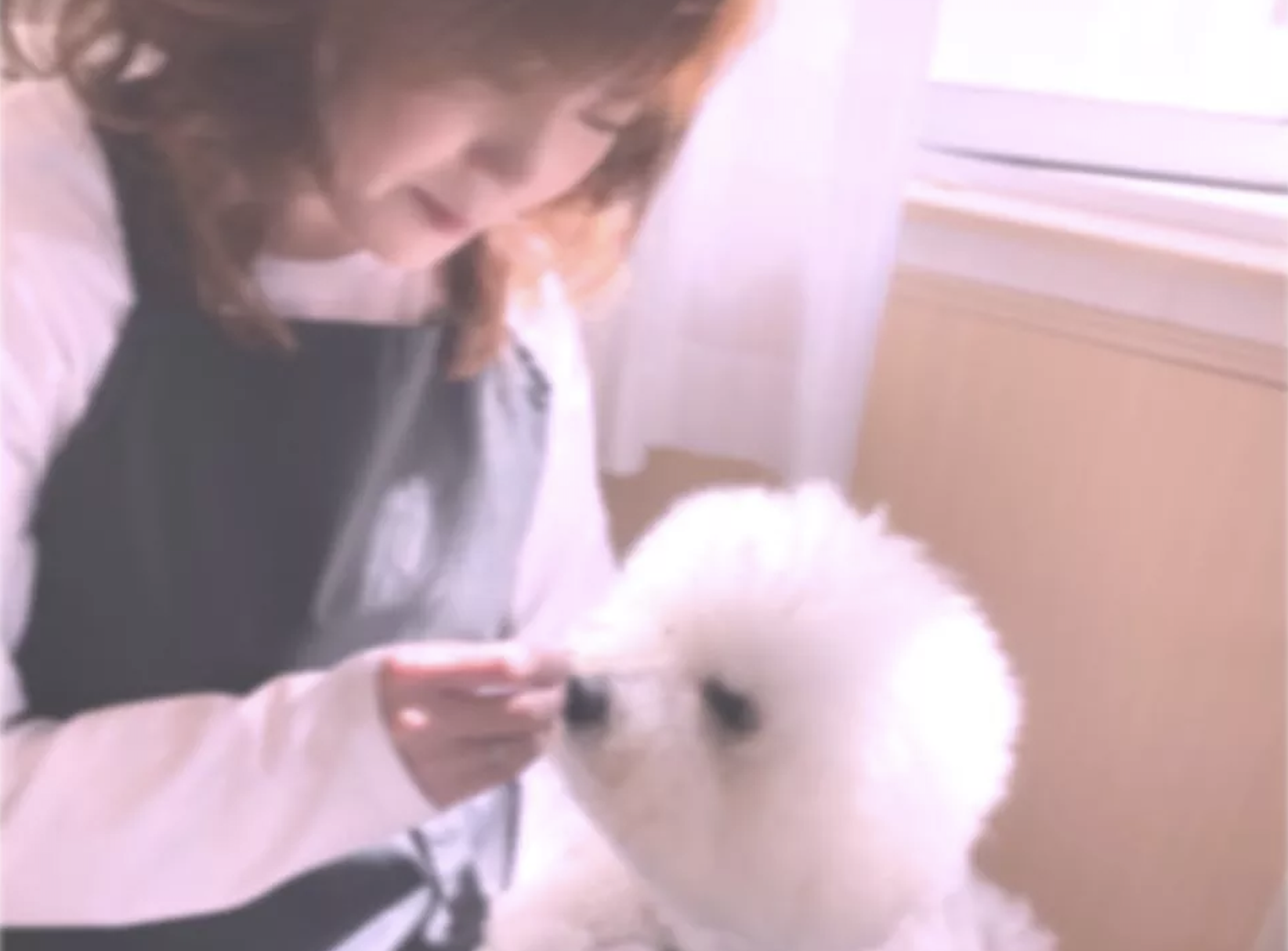 PET-CONCIERGE-NANA 1