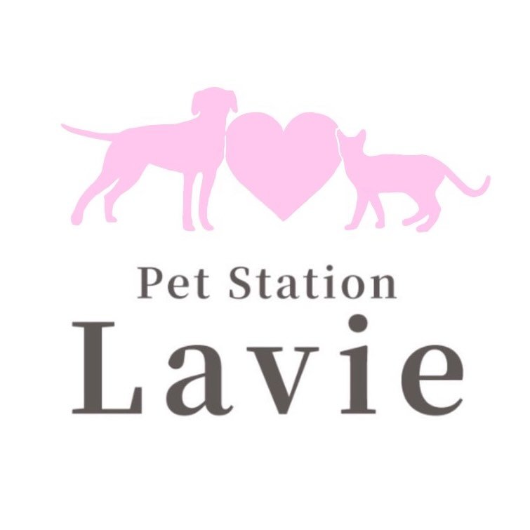Pet Station Lavie 1