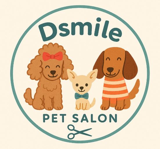 Dsmile 1