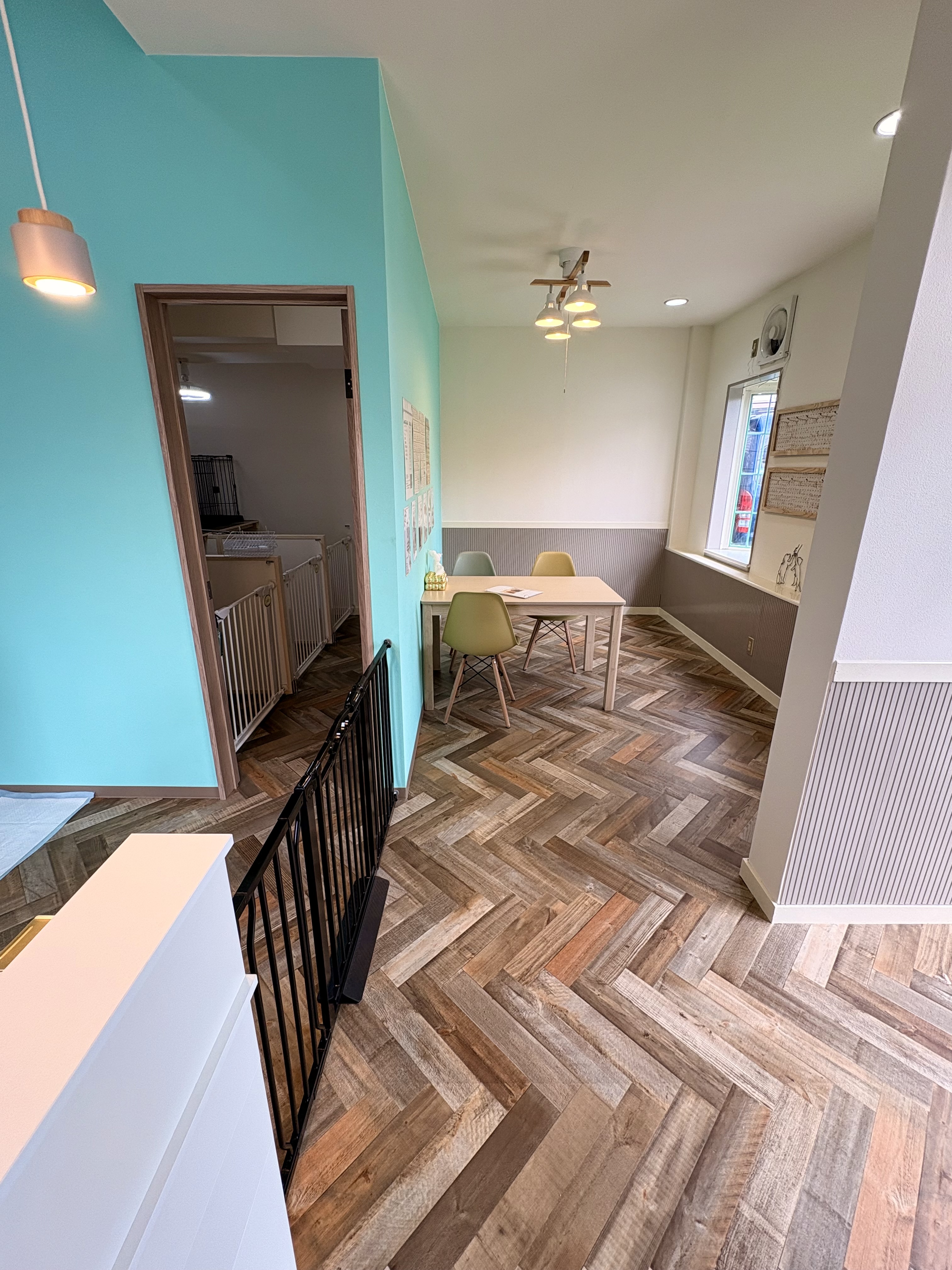 ペットサロンMOANA 2