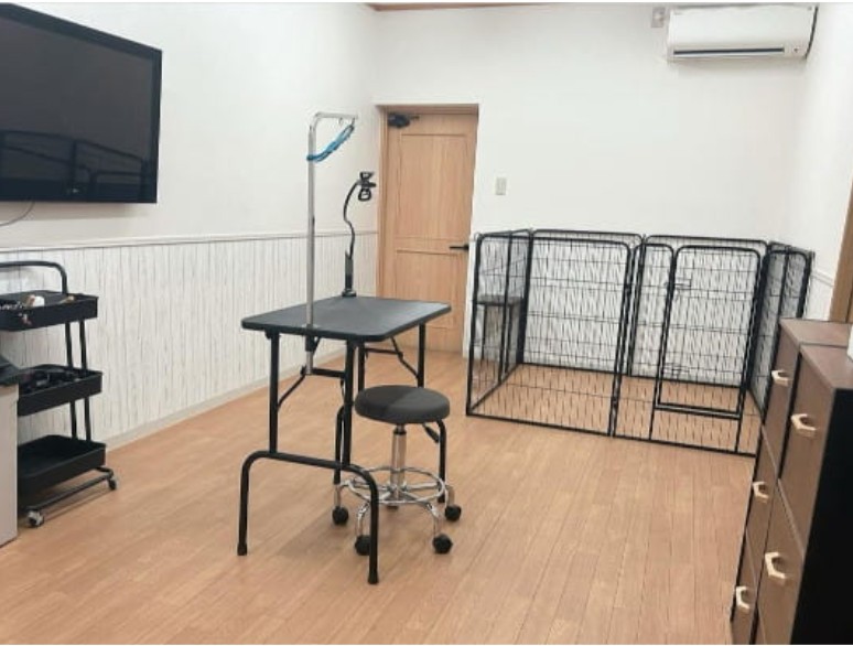 DOG SALON Pomuru 2