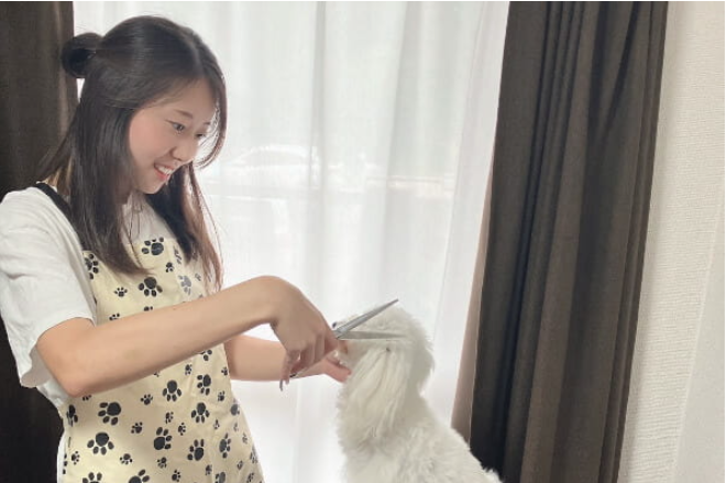 pet family 2
