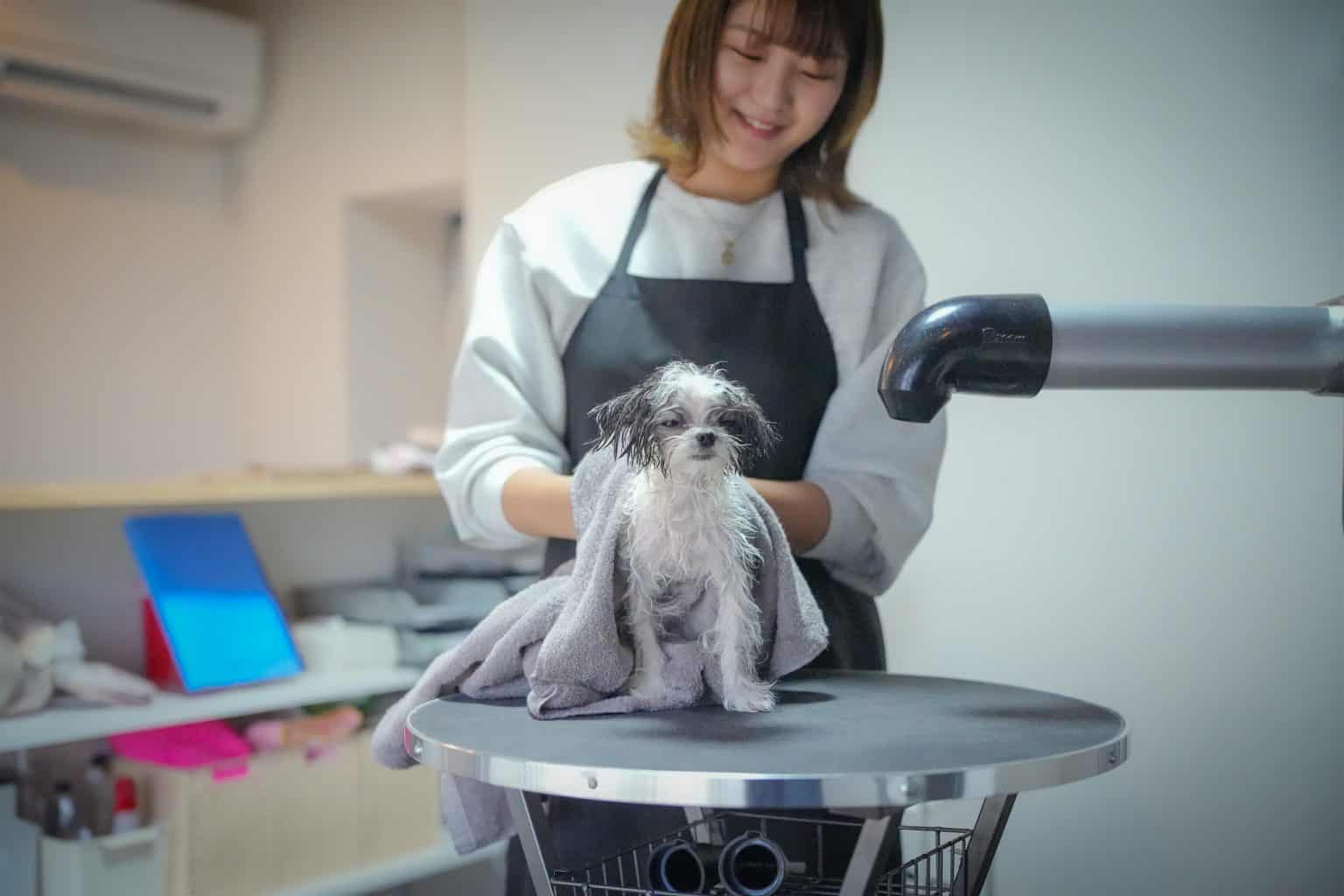 pet salon arc 3