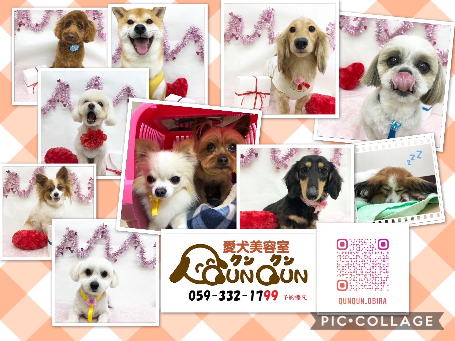 愛犬美容室QunQun　イオン四日市尾平店 2