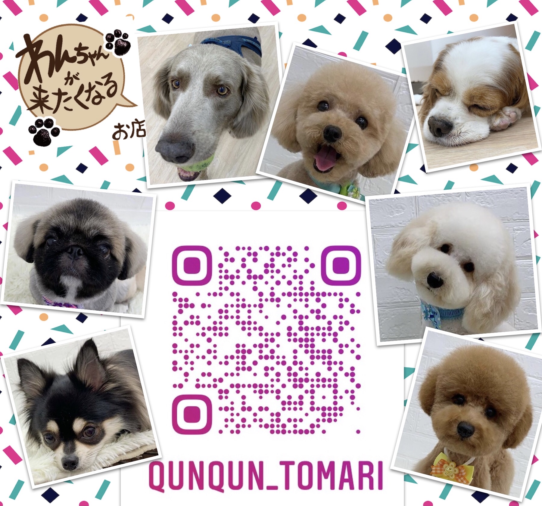 愛犬美容室 QunQun　イオンタウン泊店 2