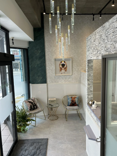 Dog Salon Little Sky 2